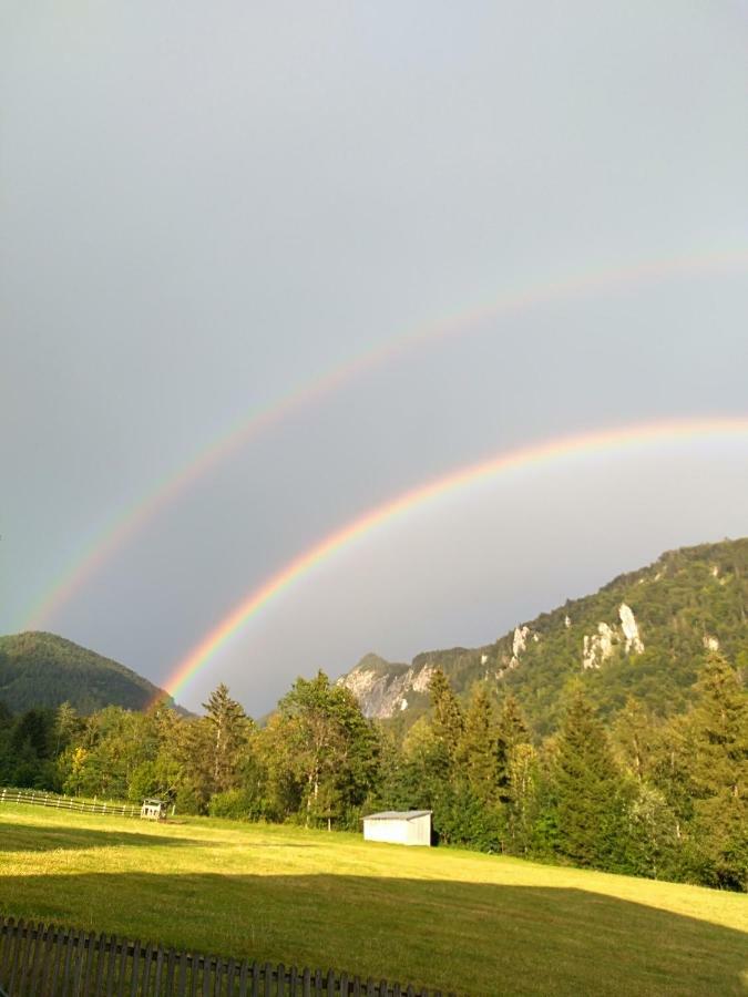 Haus Salvenmoser Walchsee Bagian luar foto